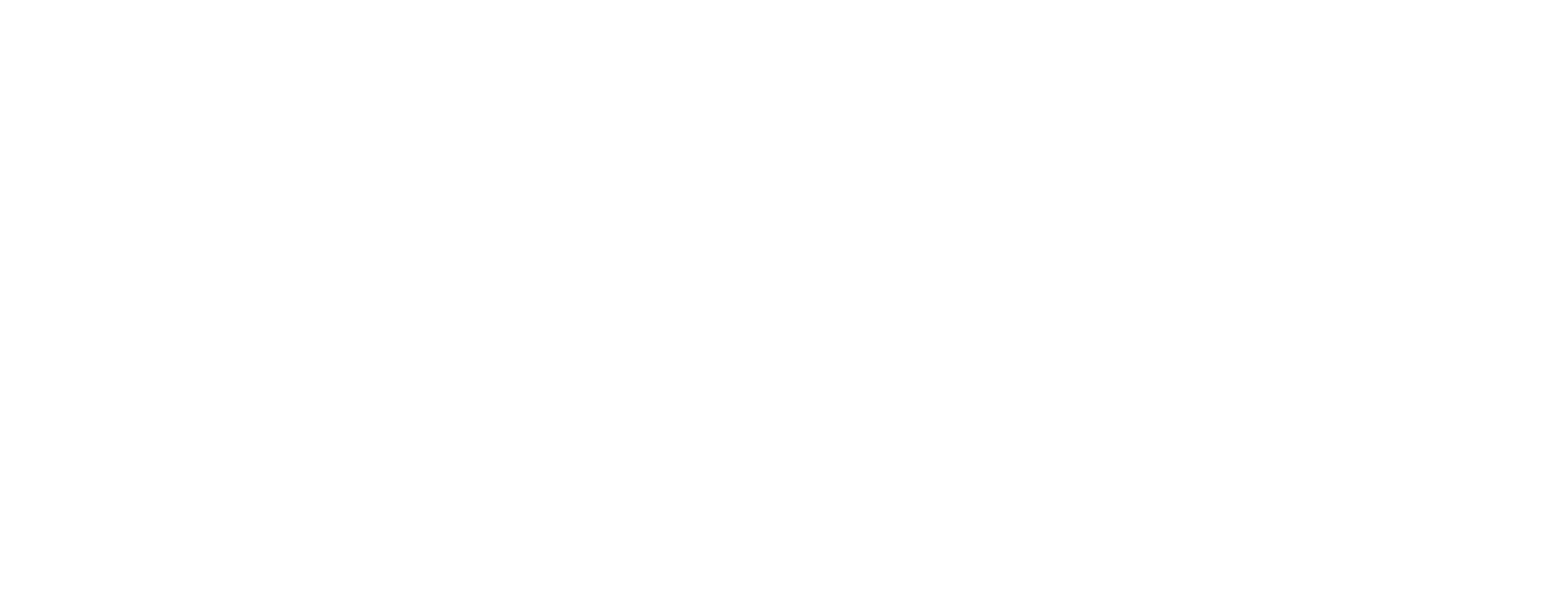 Strategic Sanitation Services